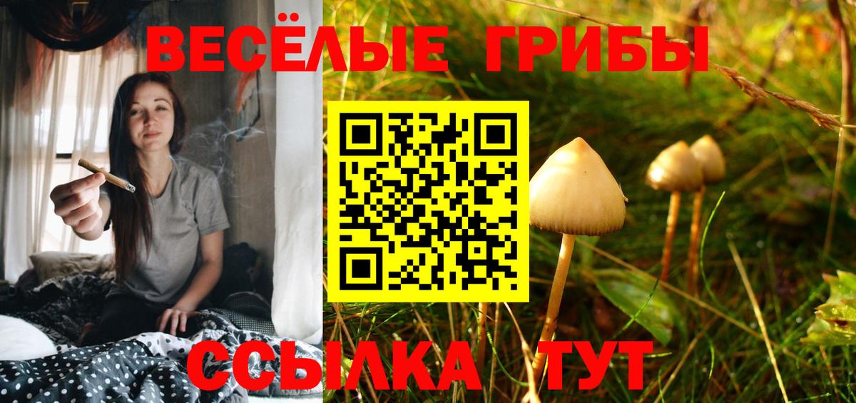 Галлюциногенные грибы Psilocybine cubensis  Вход с VPN  Нижний Новгород 