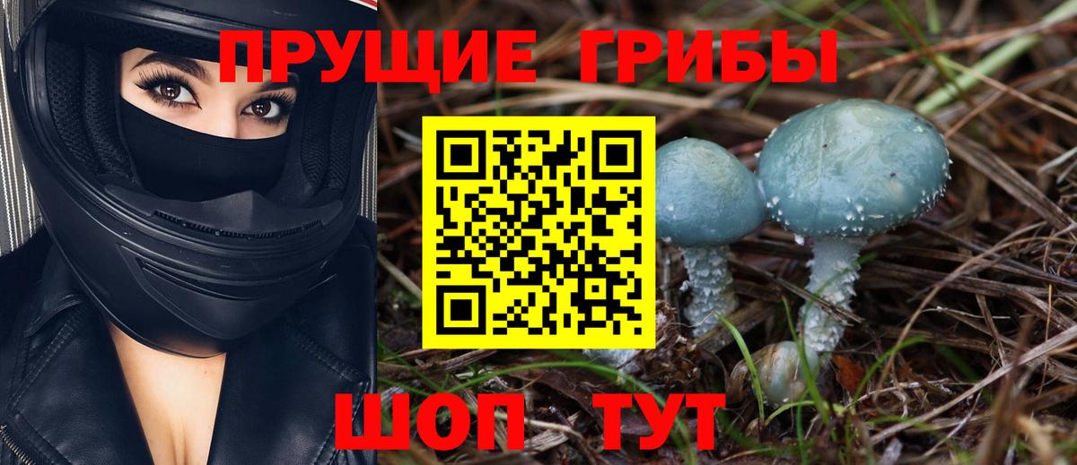 Галлюциногенные грибы прущие грибы Нижний Новгород